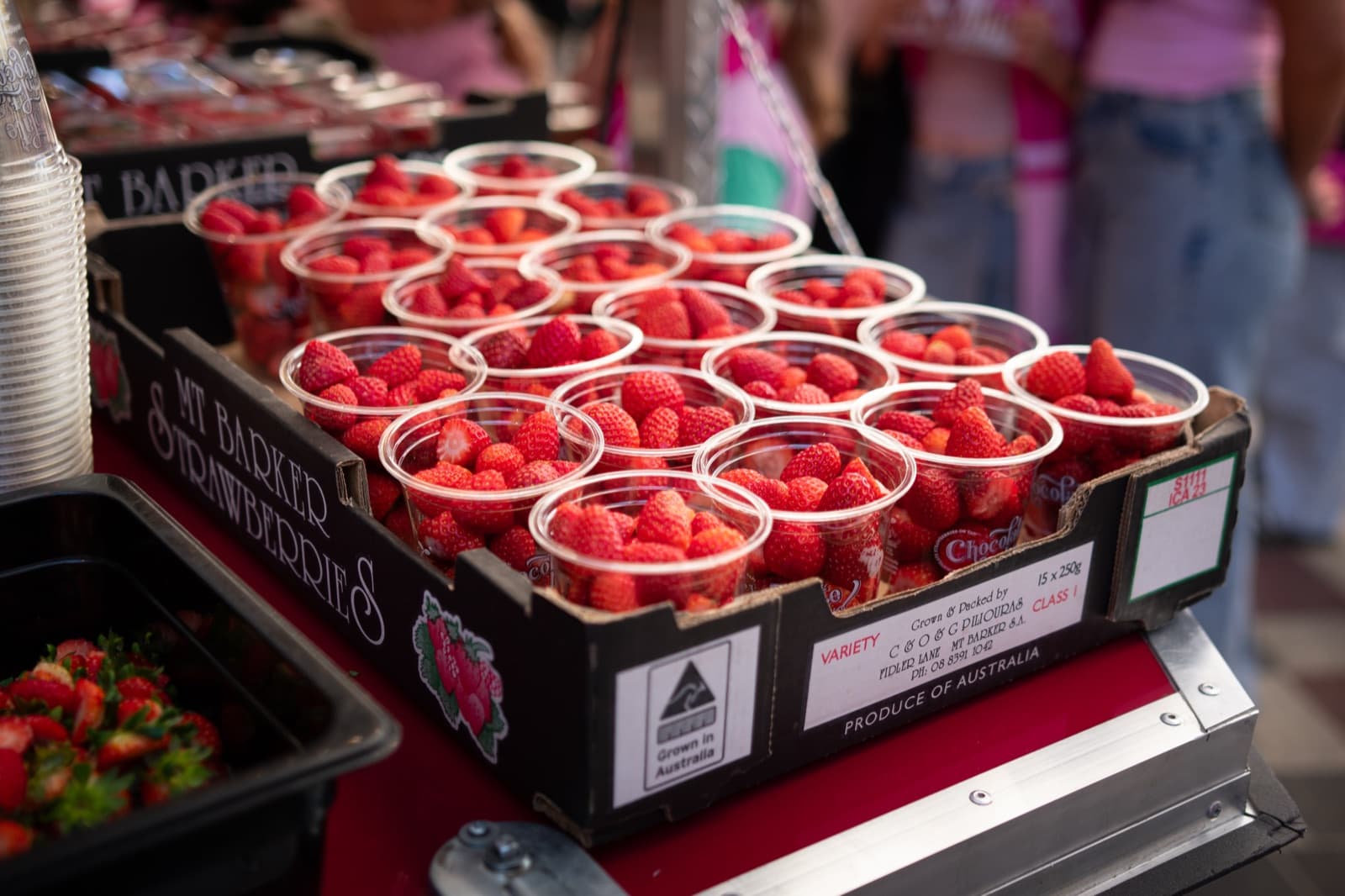 Rows of Mt Barker strawberry cups in a tray, ready to serve